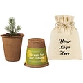 Custom Modern Sprout Tree Kits