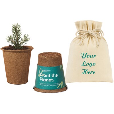 Custom Modern Sprout Tree Kits