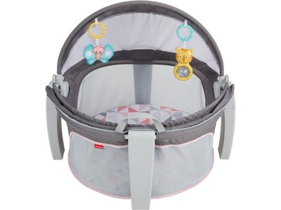 Fisher-Price On-The-Go Baby Dome, Rosy Windmill (FVC25)