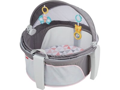 Fisher-Price On-The-Go Baby Dome, Rosy Windmill (FVC25)