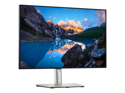 Dell UltraSharp DELL-U2421E 24.1 LED Monitor, Silver/Black