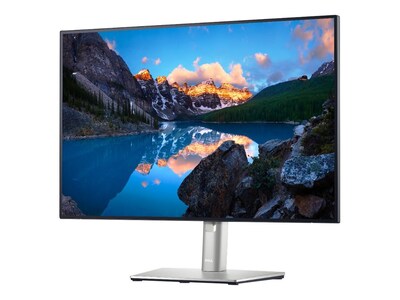 Dell UltraSharp DELL-U2421E 24.1" LED Monitor, Silver/Black