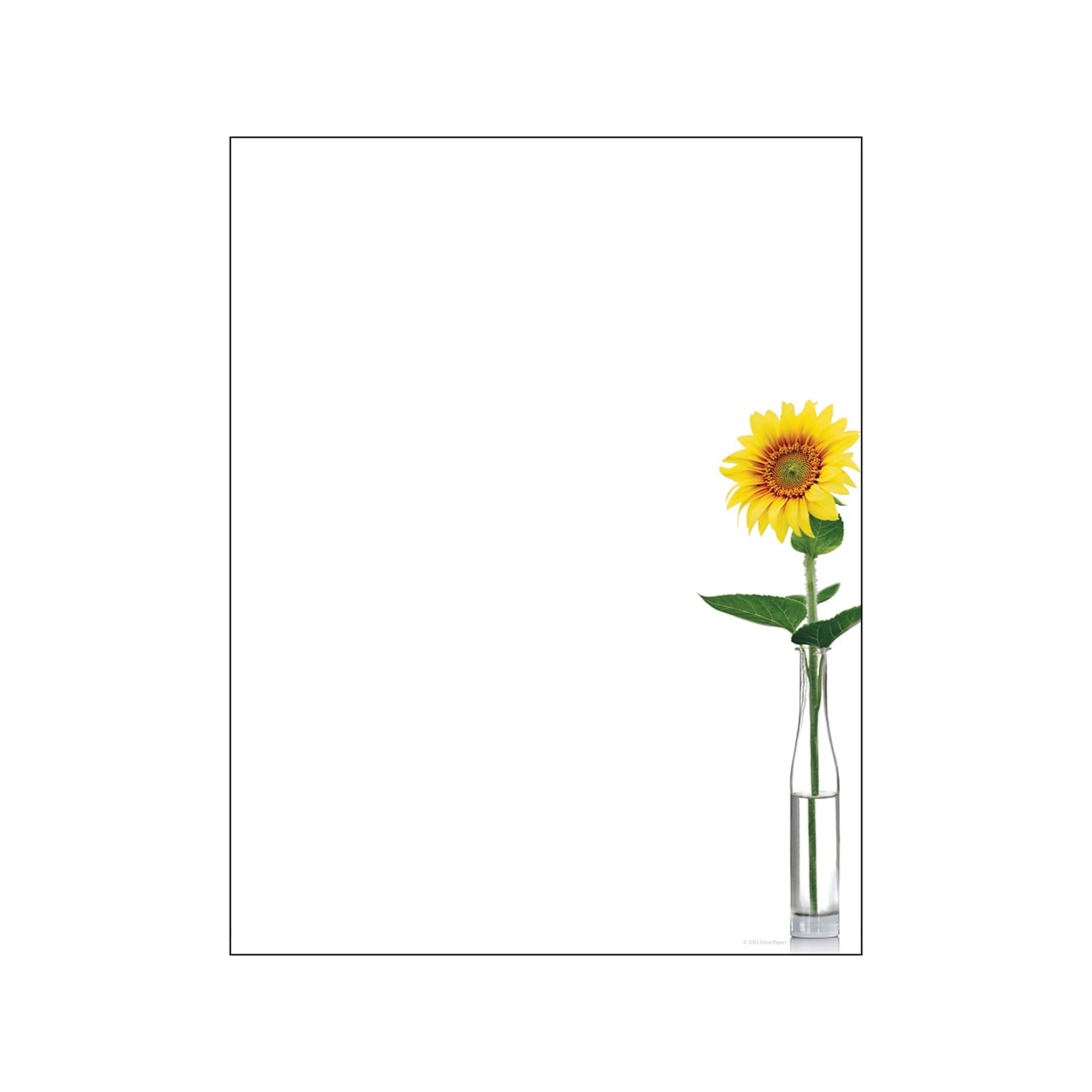Great Papers! Sunflower Day Everyday Letterhead, White, 80/Pack (2020148)
