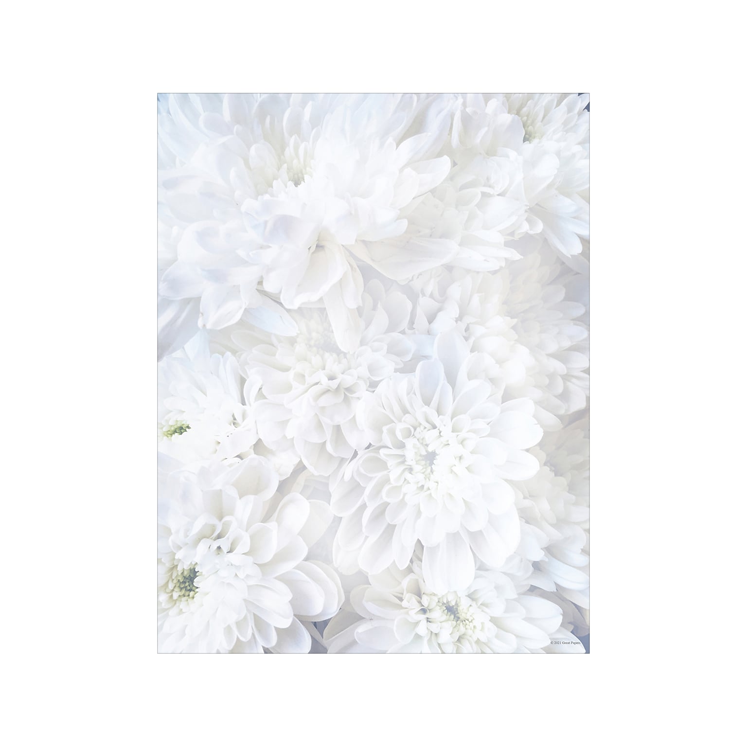 Great Papers! White Soft Petals Everyday Letterhead, White, 80/Pack (2020144)