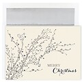 JAM Paper® Christmas Card Set, Blue Berry Branches Christmas Cards, 16/pack (526M0929MB)