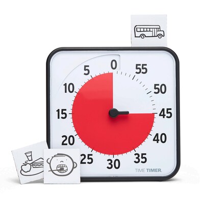 Time Timer 60 Minute Visual Timer 8", Plastic (TTMTT08BW)