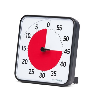 Time Timer 60 Minute Visual Timer 8", Plastic (TTMTT08BW)