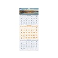 2022 AT-A-GLANCE 27 x 12 Three-Month Calendar, Scenic, Multicolor (DMW503-28-22)