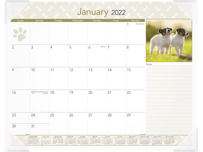 2022 AT-A-GLANCE 17 x 21.75 Monthly Calendar, Puppies, Multicolor (DMD166-32-22)