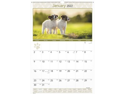 2022 AT-A-GLANCE 22.75 x 15.5 Monthly Calendar, Puppies, Multicolor (DMW167-28-22)
