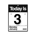 2022 AT-A-GLANCE 6 x 6 Daily Calendar, Today Is, Black/White (K1-00-22)