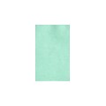 LUX 8 1/2 x 14 Cardstock 1000/Pack, Lagoon Metallic (81214-C-M501000)