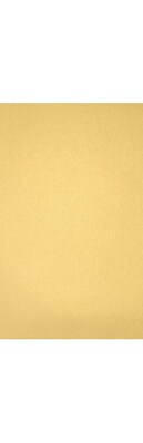 LUX 8 1/2 x 14 Cardstock 50/Pack, Gold Metallic (81214-C-M40-50)