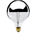 Bulbrite Incandescent (INC) G40 60W Dimmable Half Chrome 2700K Warm White Light Bulb, 6 Pack (712356)