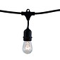 Bulbrite Dimmable String Light Kit in Black with 15 Sockets, 1 Pack - S14 11W Bulbs Included  (810002)