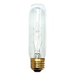 Bulbrite Incandescent (INC) T10 25W Dimmable Clear 2700K Warm White Light Bulb, 25/Pack (704125)
