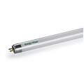 Bulbrite Fluorescent T5 28W 4100K Cool White Light Bulb, 20 Pack (519282)