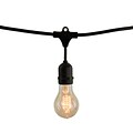 Bulbrite Dimmable String Light Kit in Black with 10 Sockets, 2 Pack - A19 25W Bulbs Included  (810007)
