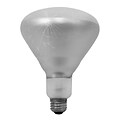 Bulbrite Incandescent (INC) BR40 250W Dimmable Clear Tough Coat 2700K Warm White Light Bulb, 6 Pack (714725)