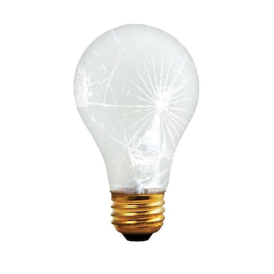 Bulbrite Incandescent (INC) A19 100W Dimmable Frost Tough Coat 2700K Warm White Light Bulb, 12 Pack (108100)