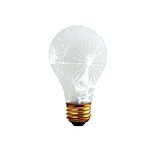 Bulbrite Incandescent (INC) A19 75W Dimmable Frost Tough Coat 2700K Warm White Light Bulb, 12 Pack (