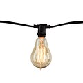 Bulbrite Dimmable String Light Kit in Black with 10 Sockets, 2 Pack - A15 25W Bulbs Included  (810055)