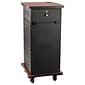 Oklahoma Sound 4-Shelf Wood/Steel Wizard Presentation Cart, Cherry (WZD)