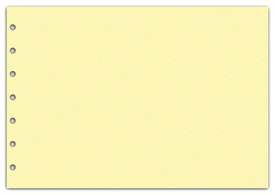 Custom 3-On-A-Page Business Size Checks, Side-Tear Voucher, 2 Ply/Duplicate, 1 Color Printing, 8.25" x 3", 250/Pk
