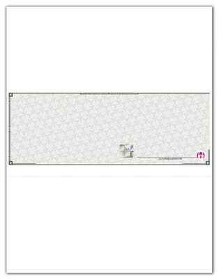Custom High Security Laser Middle Check, 2 Ply/Duplicate, 1 Color Printing, 8-1/2" x 11", 500/Pk