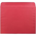 JAM Paper Booklet Envelope, 9 x 12, Red, 50/Pack (17253I)