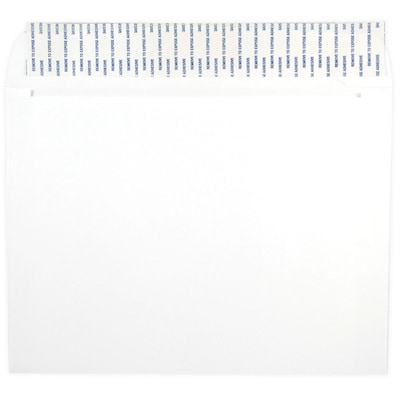 LUX Moistenable Glue Security Tinted #10 Double Window Payroll Envelope, 4 1/8 x 9 1/2, White, 50/