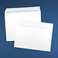 LUX Moistenable Glue Security Tinted #10 Double Window Payroll Envelope, 4 1/8" x 9 1/2", White, 50/Pack (10DW-24W-50)
