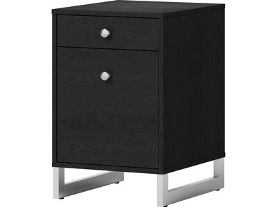 Whalen Asherton 2-Drawer Vertical File Cabinet, Letter/Legal Size, 23.88H x 15.44W x 19D, Inkwood Black (SPUS-ASHF-BM)