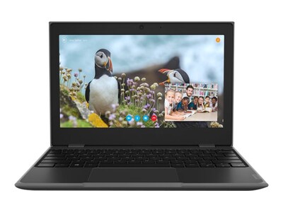 Lenovo 100e (2nd Gen) 82GJ 11.6 Notebook, AMD 3000 Series 3015e, 4GB Memory, 64 GB eMMC, Windows 10 Pro (82GJ0004US)