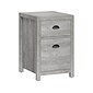 Whalen Fallbrook 2-Drawer Vertical File Cabinet, Letter/Legal, Smoked Ash, 20" (SPUS-FBSF-GM)