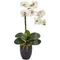 Nearly Natural Phalaenopsis Orchid in Black Vase (1479-CR)