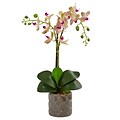 Nearly Natural Double Phalaenopsis Orchid in Gray Ceramic Pot (1488)