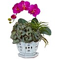 Nearly Natural Mini Phalaenopsis Orchid and Succulent in Planter (1507-OR)