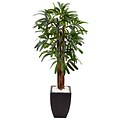 Nearly Natural 5.5’H Raphis Palm Tree in Black Planter (5982)