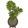 Nearly Natural Selloum in Open Weave Vase (6983)