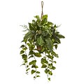 Nearly Natural Mixed Pothos and Boston Fern in Hanging Basket (6986)