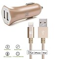 Apple Certified Lightning Cable with Dual USB High Speed Car Charger for iPhone (CAR48MFI4FT-GLD)