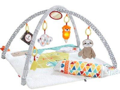 Fisher-Price Perfect Sense Deluxe Gym, Multicolor (FXC37)