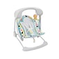 Fisher-Price Swing, Multicolor (DYH31)