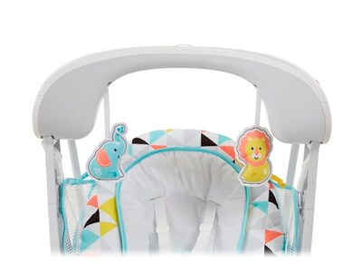 Fisher-Price Swing, Multicolor (DYH31)