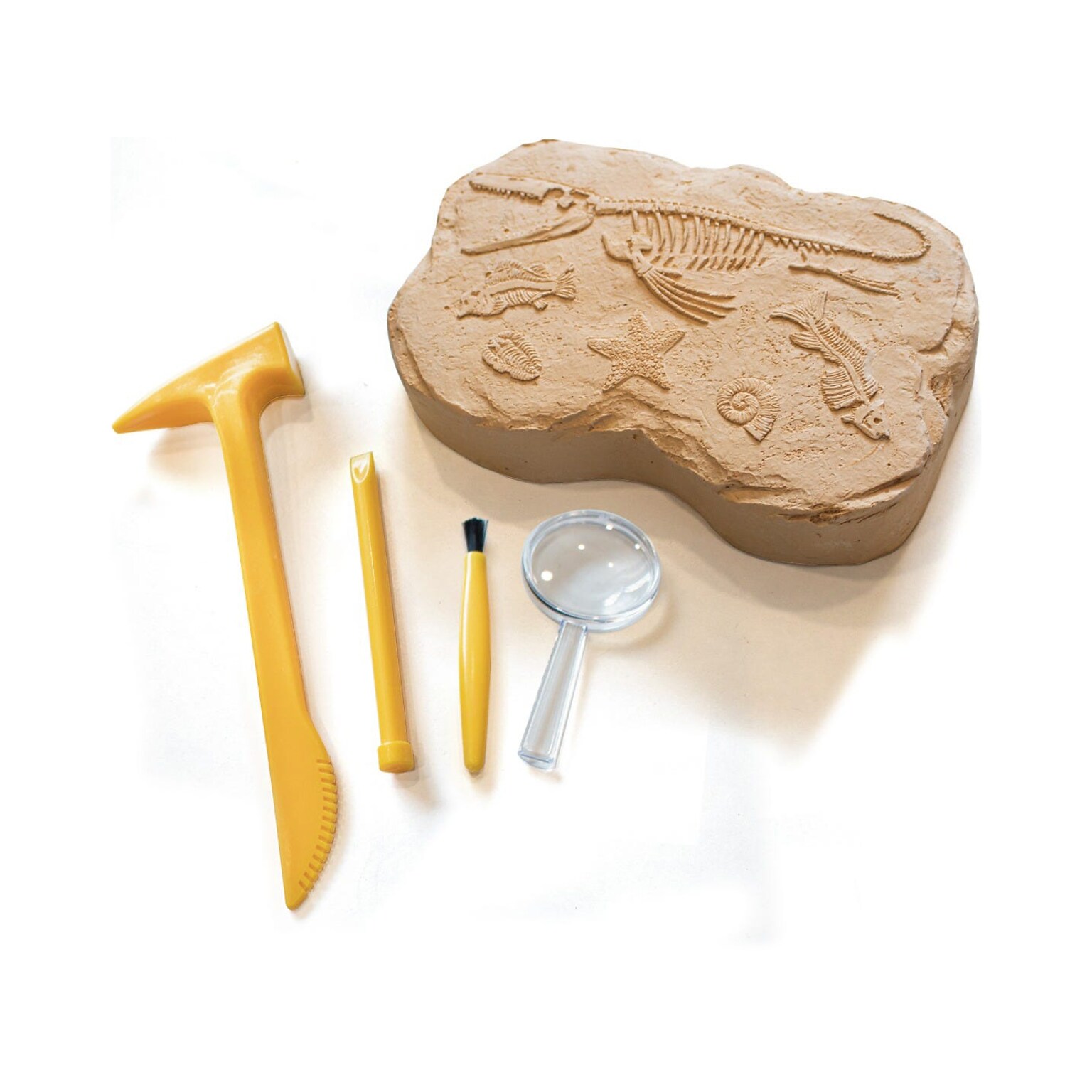 Educational Insights GeoSafari Fossil Excavation Kit, Assorted Colors (5340)