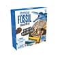 Educational Insights GeoSafari Fossil Excavation Kit, Assorted Colors (5340)