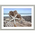 Amanti Art Framed Art Print Rodeo Beach Shells 6 by Alan Blaustein 29 x 21H, Frame Silver (DSW3894378)