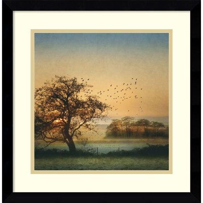 Amanti Art Framed Art Print Good By Day Birds by William Vanscoy 17W x 17H Frame Satin Black (DSW3908986)