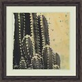 Amanti Art Framed Art Print Desert Dreams IV (Cactus) by Naomi McCavitt 25 x 25 Frame Rustic Pine (DSW3909221)